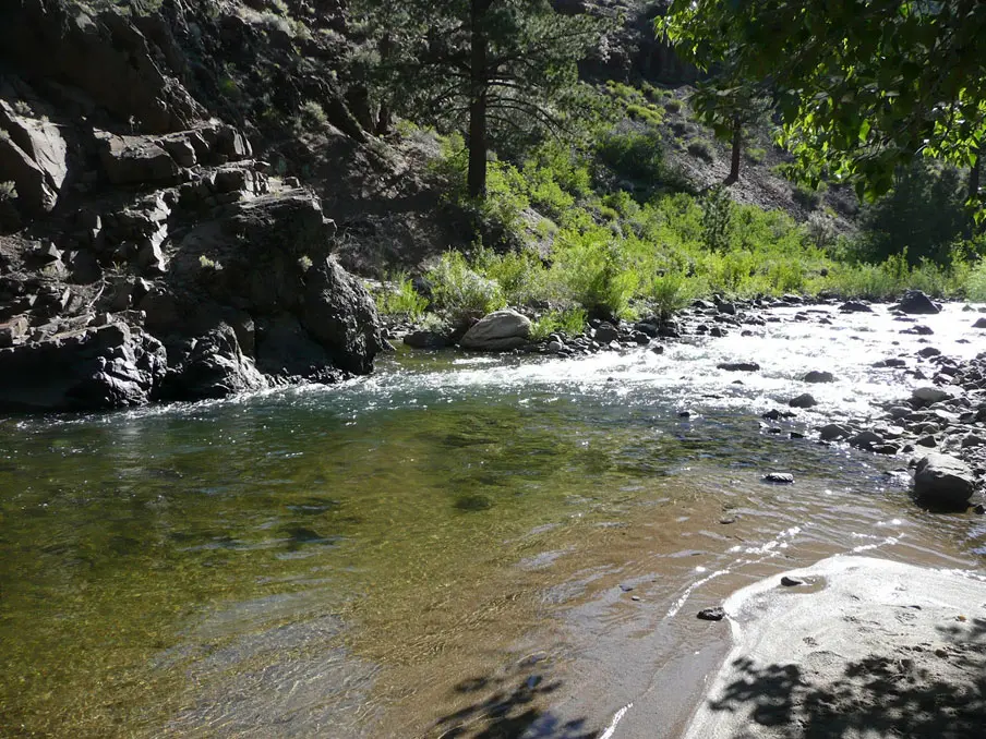 Confluence of EF Carson and Wolf Creek