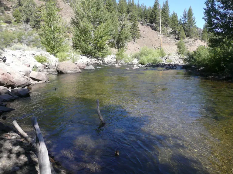 Wolf Creek Confluence to Carson Falls 