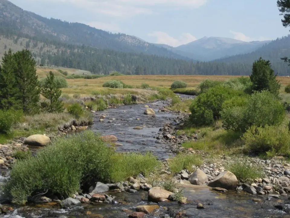 Upper end of Silver King Valley Meadow