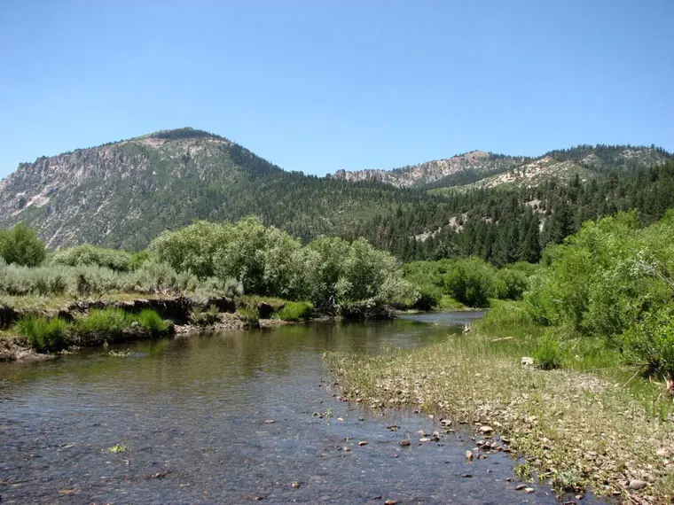 Pleasant Valley Creek