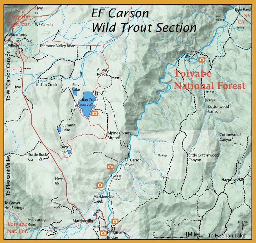 East Fork Carson River, Wild Trout Section