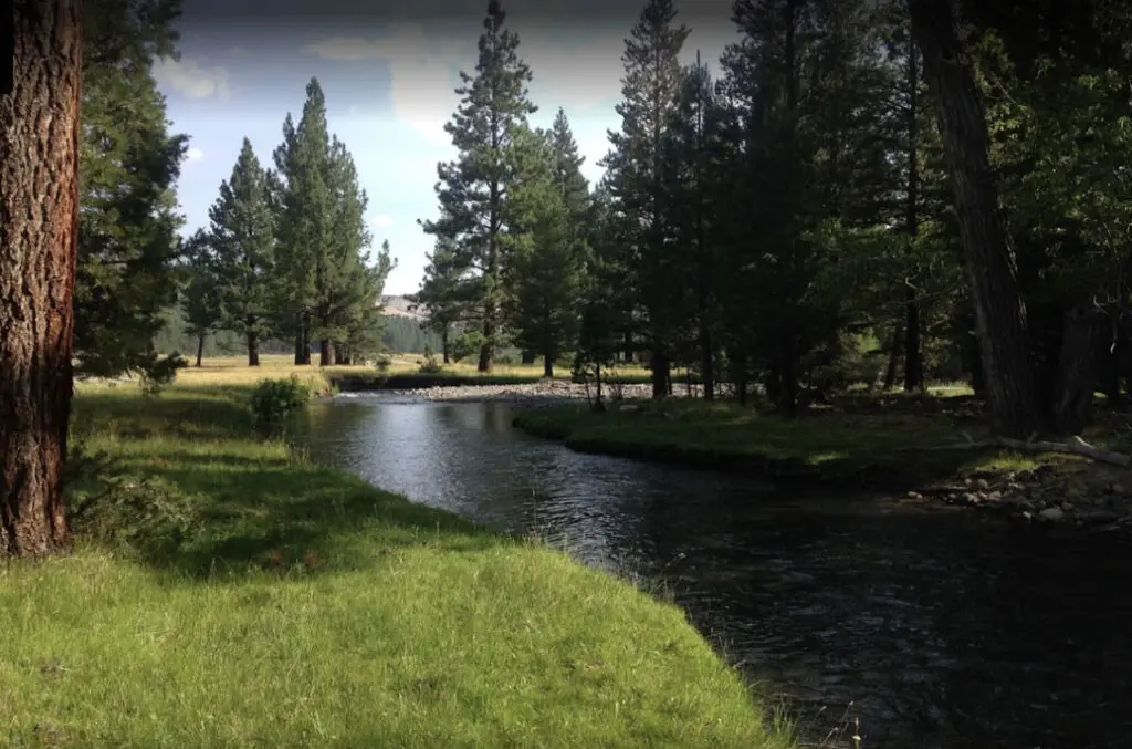 Wolf Creek Campground