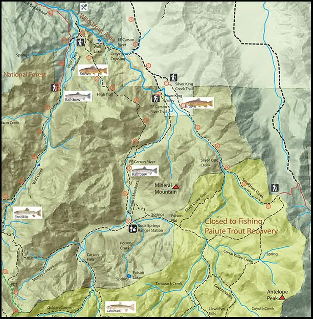 Wild Trout Section of EF Carson