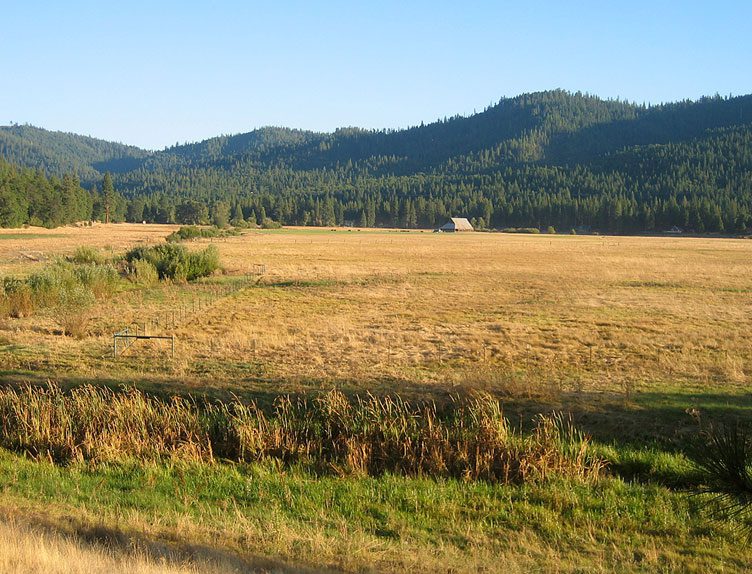 Sierra Agriculture