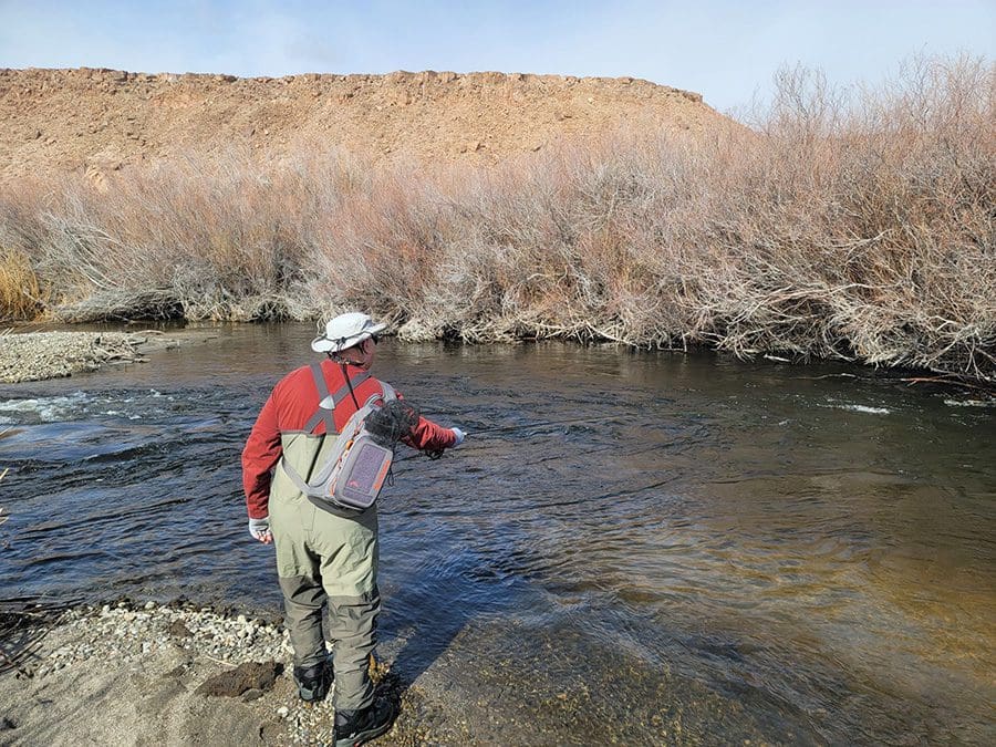 A collection of shiny metallic chess pawns arranged on a peach background.