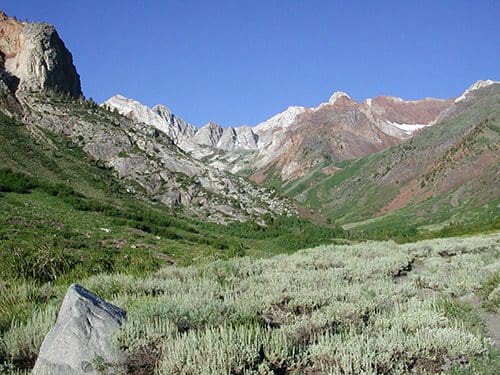 A collection of shiny metallic chess pawns arranged on a peach background.