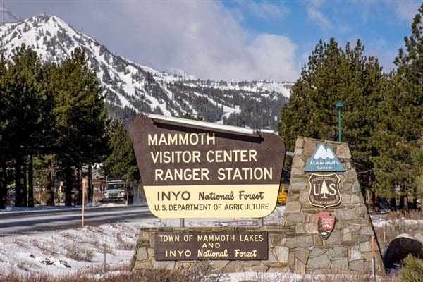 A collection of shiny metallic chess pawns arranged on a peach background.