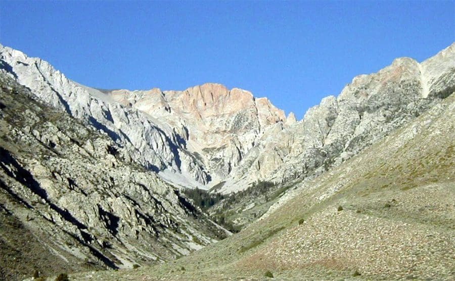 A collection of shiny metallic chess pawns arranged on a peach background.