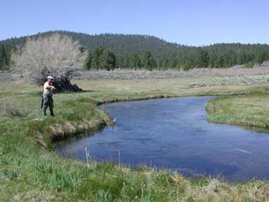 Alpers Ranch