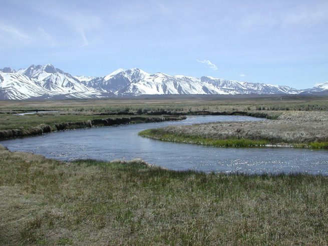 Owens River at Benton Bridge