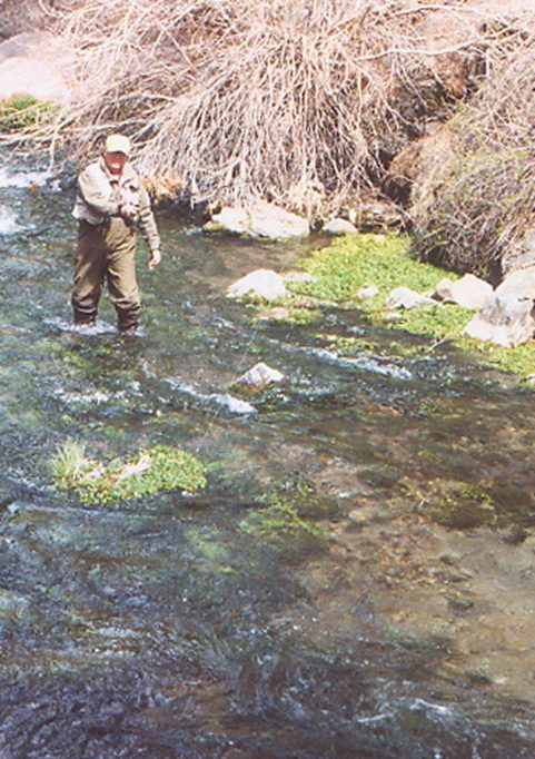 Big Spring