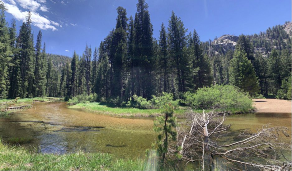 Fish Creek