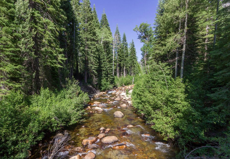 Fish Creek