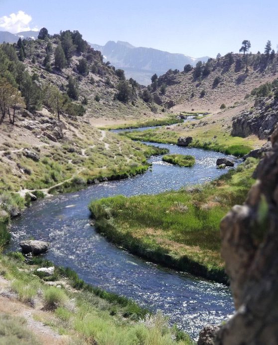 Hot Creek Canyon