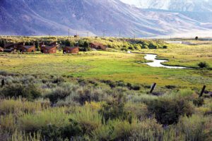 Hot Creek Ranch