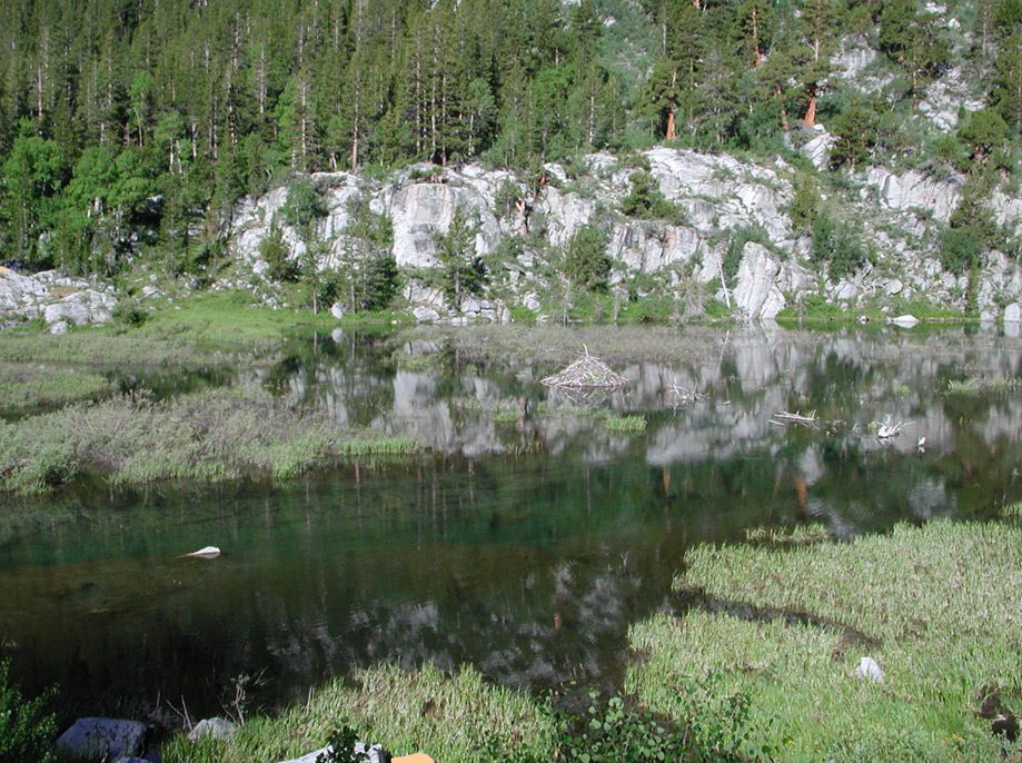 McGee Creek