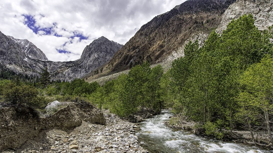 Pine Creek
