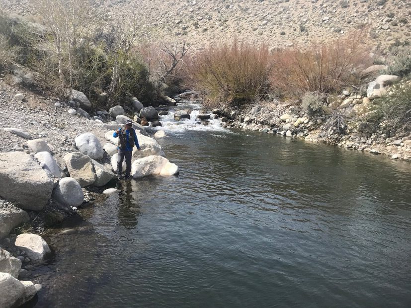 Pine Creek Weir