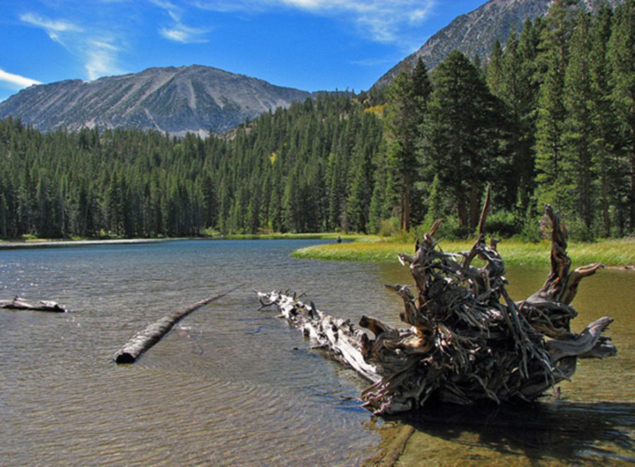 Rock Creek Pond