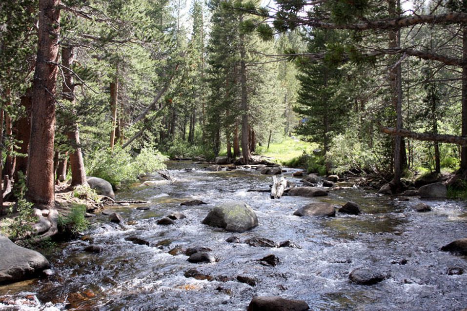 Rock Creek