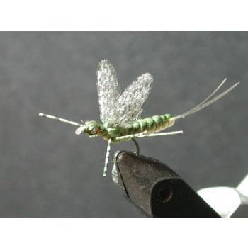 Close-up of a delicate mayfly perched on a person's finger.