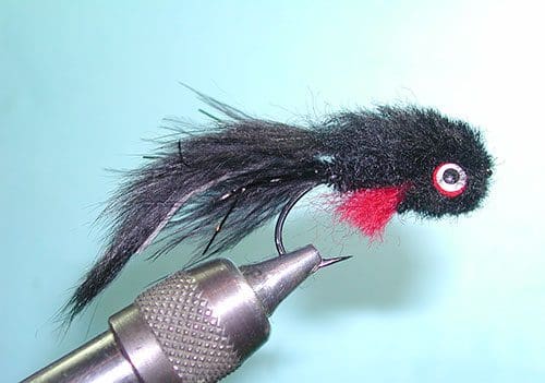 Galloup's Butt Monkey, Black