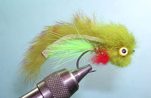 Galloup's Butt Monkey, Olive