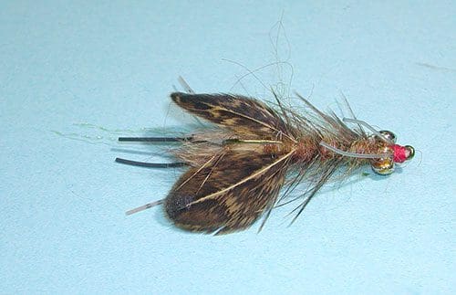 Near Nuff Crawdad, Tan