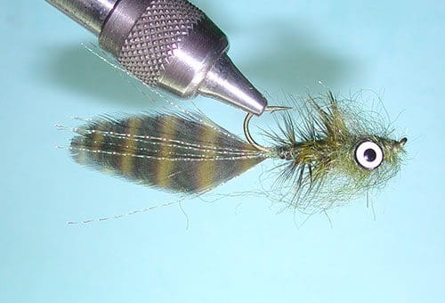 Near Nuff Sculpin, Olive