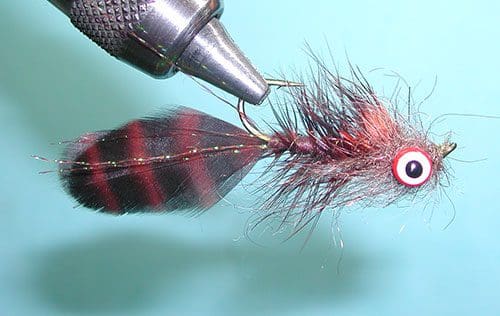 Near Nuff Sculpin, Brown