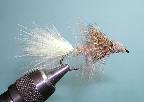 Woolly Sculpin, Tan
