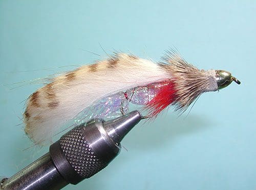 Kiwi Muddler, Brown Barred Ginger
