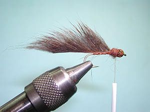Pine Squirrel Leech, Step 10