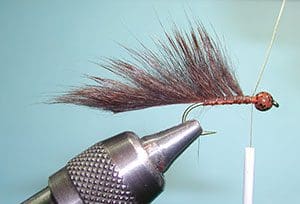 Pine Squirrel Leech, Step 8