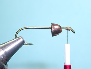 Autumn Splendor Step 1