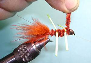 Autumn Splendor Step 17