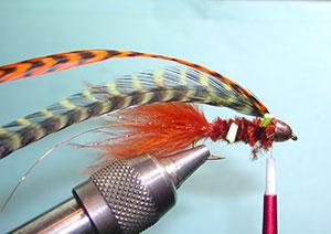 Autumn Splendor Step 19