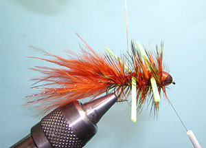 Autumn Splendor Step 21