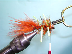 Autumn Splendor Step 22