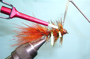 Autumn Splendor Step 23