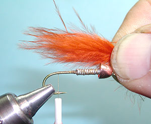 Autumn Splendor Step 5