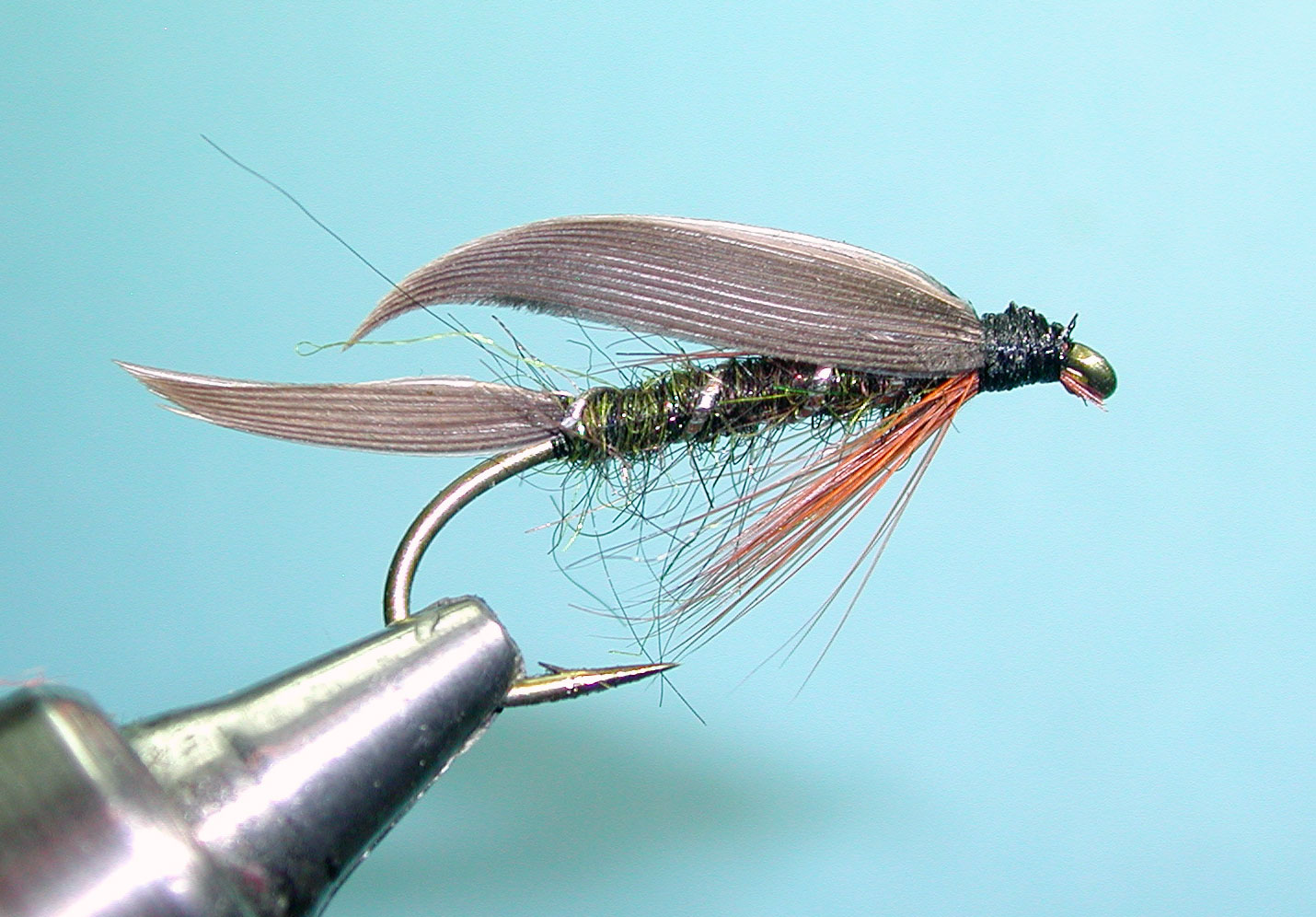 Dark Caddis