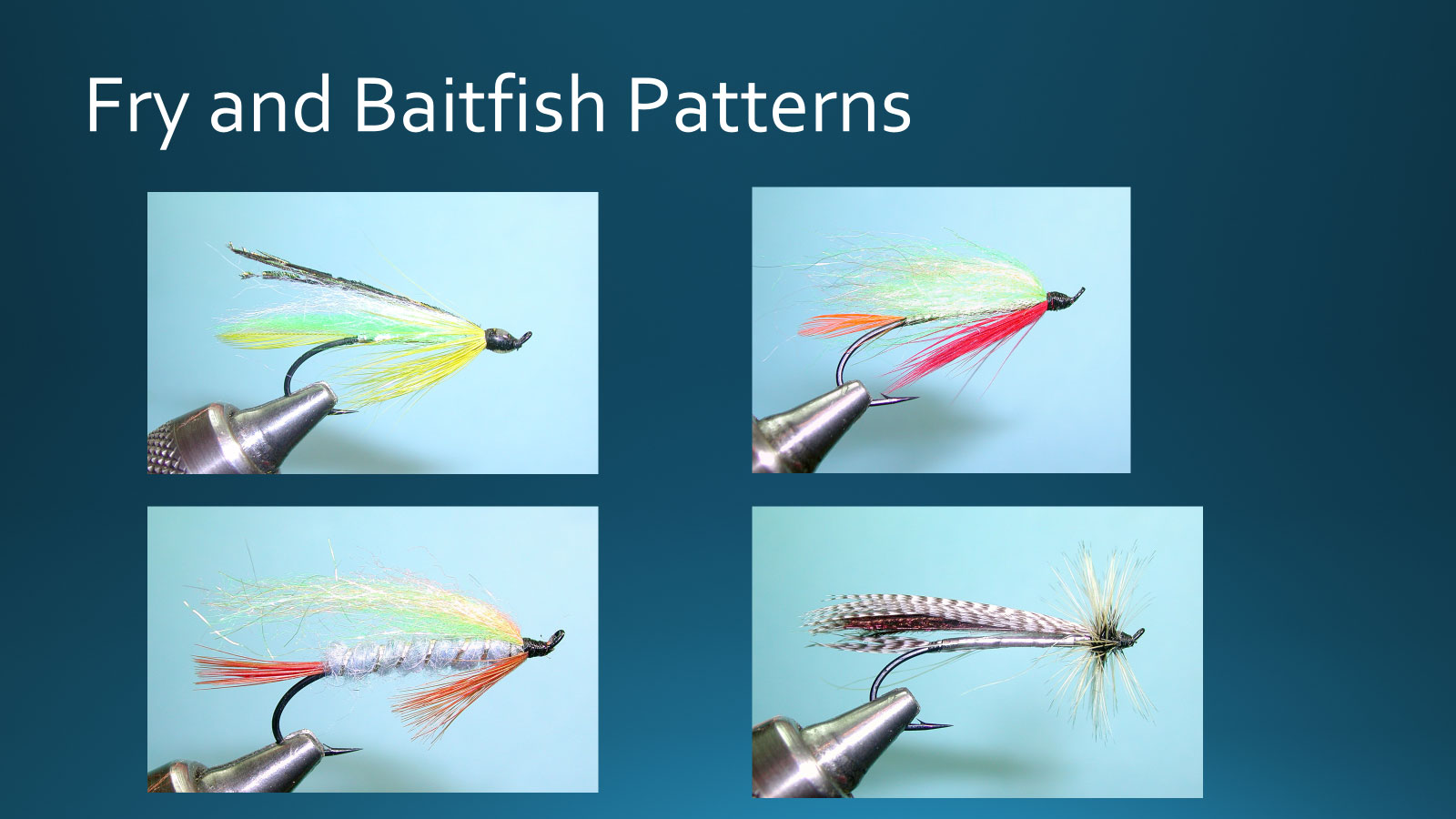 Fry and Baitfish Patterns