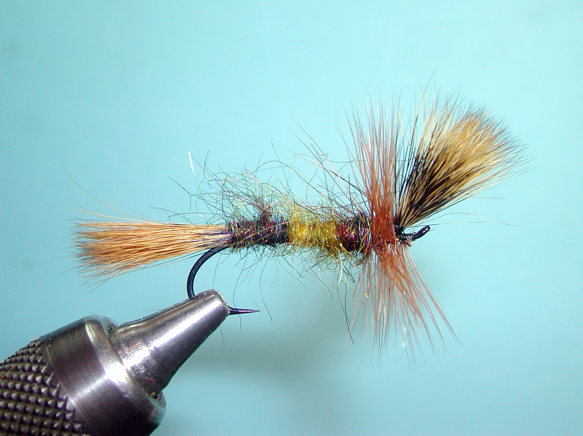 Steelhead Bee