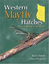 Western Mayfly Hatches