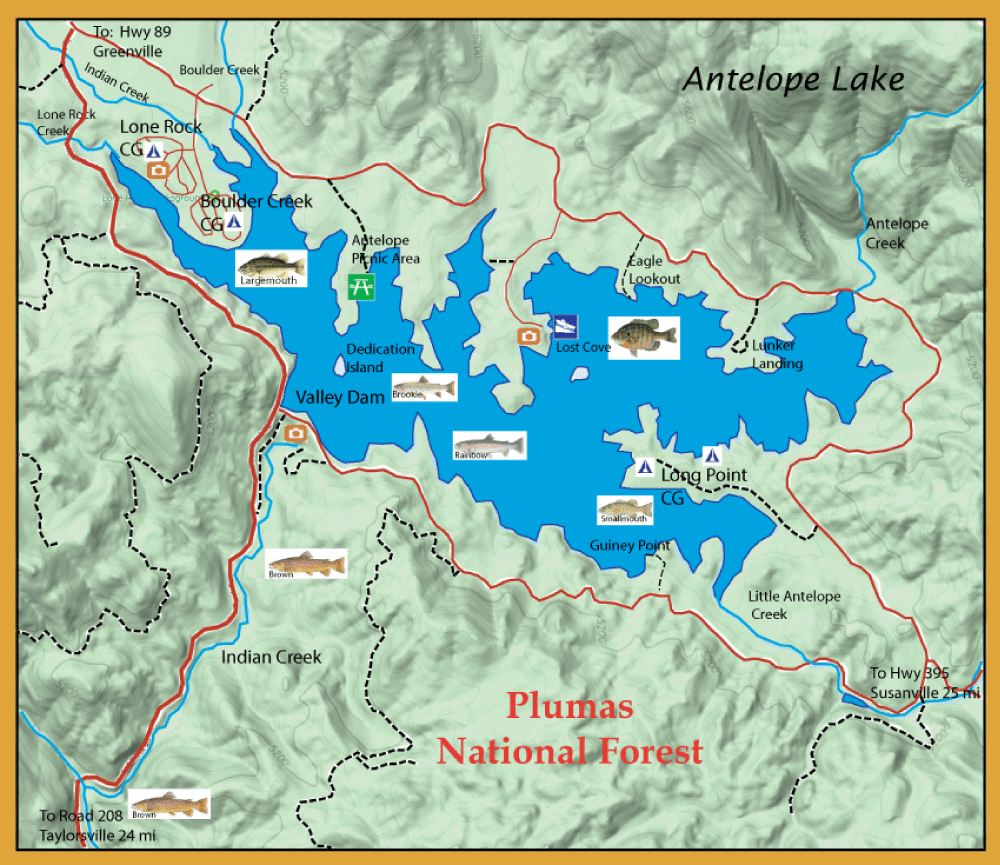 Topographic map of Plumas National Forest featuring Antelope Lake and surrounding cliffs, with red roads, dashed boundaries, blue water bodies, and icons for camping, fishing, and picnicking indicating key sites.