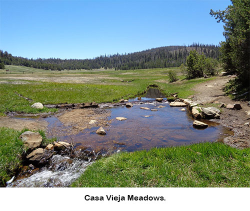 Casa Vieja Meadow
