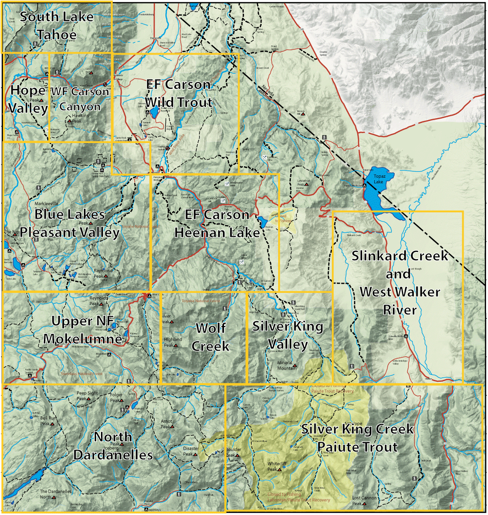 Topo map of eastern Sierra Nevada with labeled valleys, lakes and rivers, overlaid by a yellow grid to indicate sections.