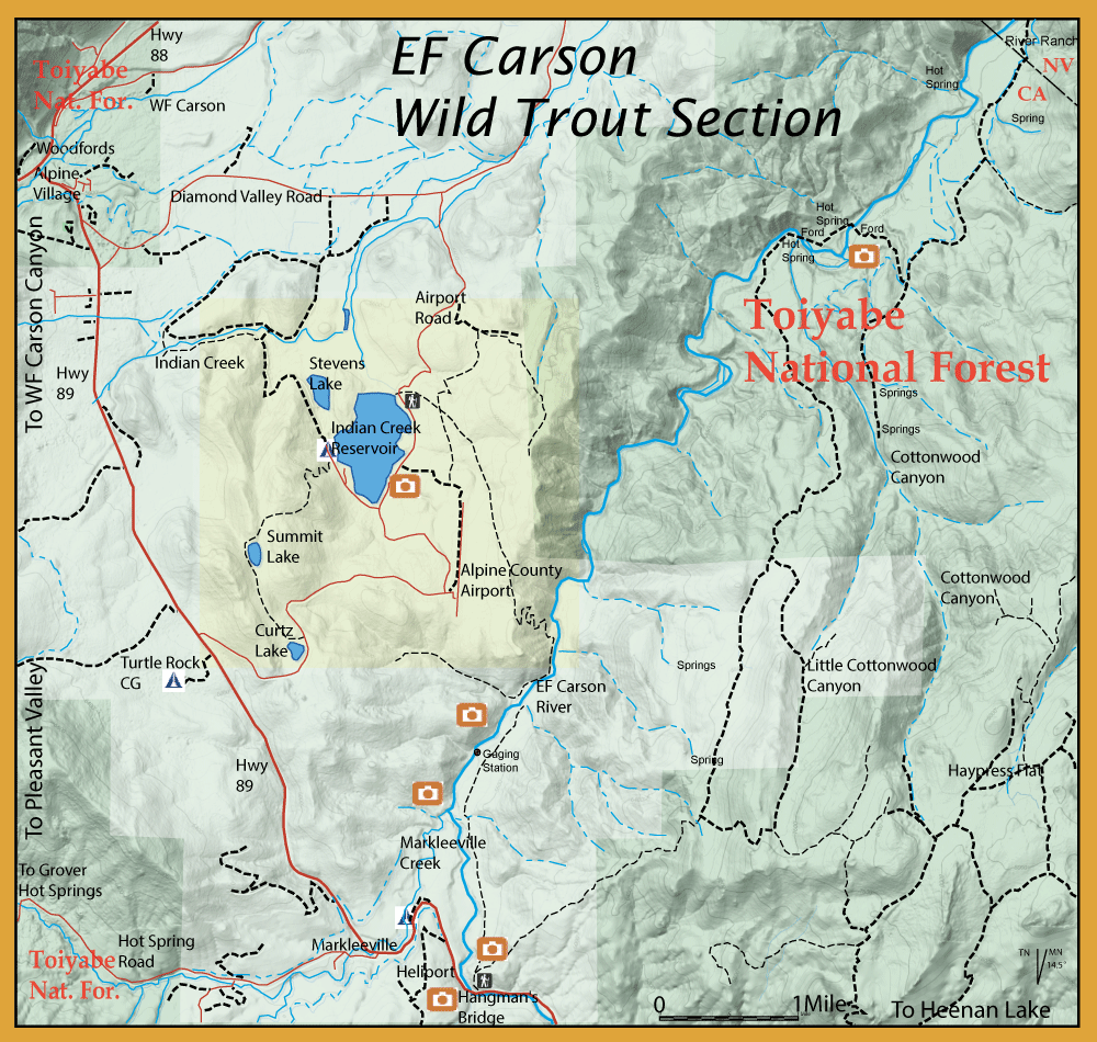 Informational map of the EF Carson Wild Trout Section in Toiyabe National Forest, showing lakes, creeks, highways, and orange camera viewpoints along routes.