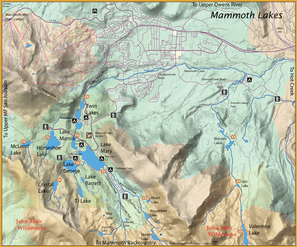 Topographic map of the Mammoth Lakes area showing lakes (Twin Lakes, Lake Mary, Lake George), trails, roads, and wilderness boundaries in John Muir Wilderness.